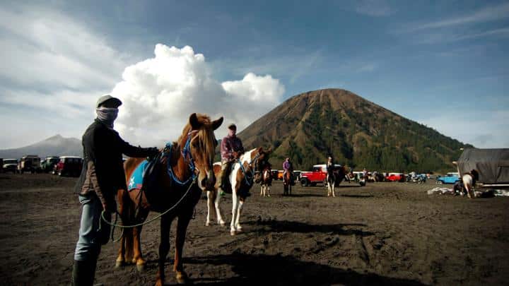 Package Surabaya Bromo Tour in 2 Days